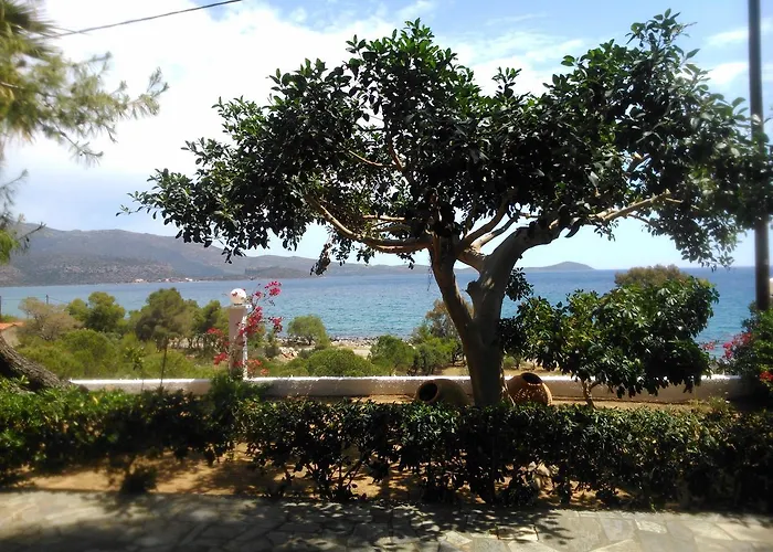 מלון דירות Maviria 3*