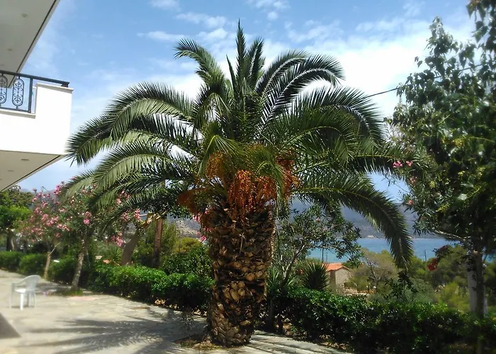 Maviria מונמבאסיה